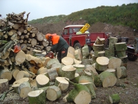 10th July 2008 007